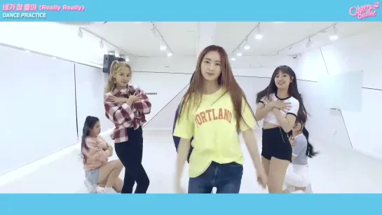 Cherry Bullet – Really Really DANCE PRACTICE