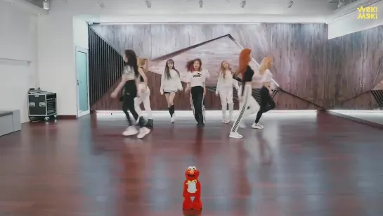 Weki Meki 위키미키 - Picky Picky DANCE PRACTICE