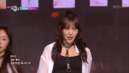 Alligator - 우주소녀(WJSN) [뮤직뱅크 Music Bank] 20190628