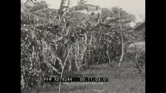 1930s HAVANA CUBA, ST. GEORGES BERMUDA  PALM BEACH FLORIDA HOME MOVIES Family  (1)