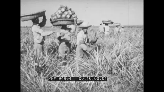 “ CUBA_ THE LAND AND PEOPLE” 1950 PRE-REVOLUTIONARY CUBA EDUCATIONAL FILM HAVANA (1)