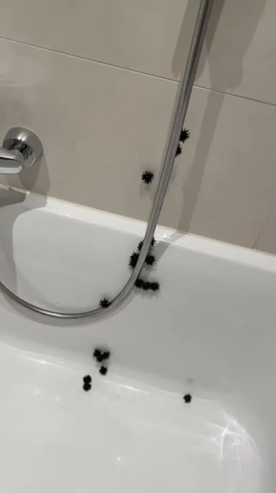 Soot sprites escaping my bathtub