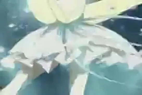 Princess Tutu