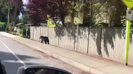 Вторжение со взломом