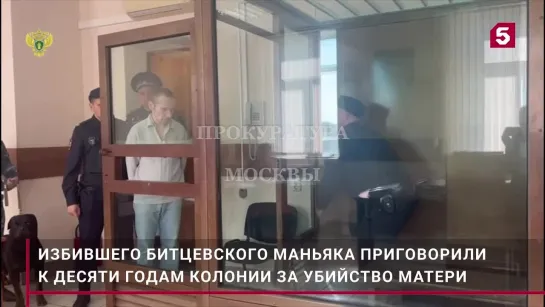 Видео порезавшего Битцевского маньяка приговорили к колонии  Новости России