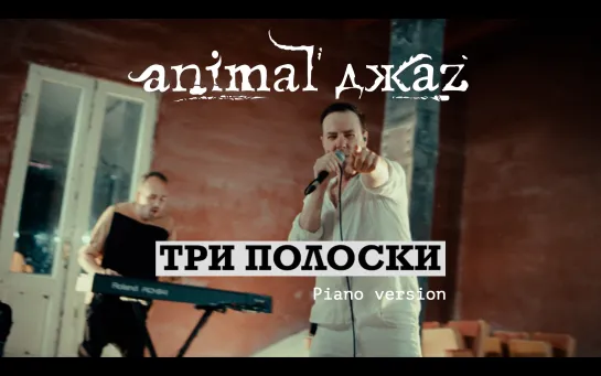 Animal ДжаZ — Три полоски (Piano version, Live, 2024)