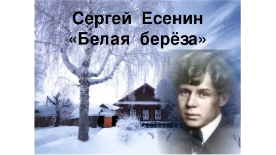 Памяти Сергея Есенина. Берёза. 210922