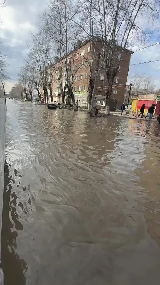 Потов в Александровске, Пермский край