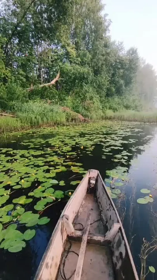 Красота раннего утра на реке  📍Пермский край, река Язьва