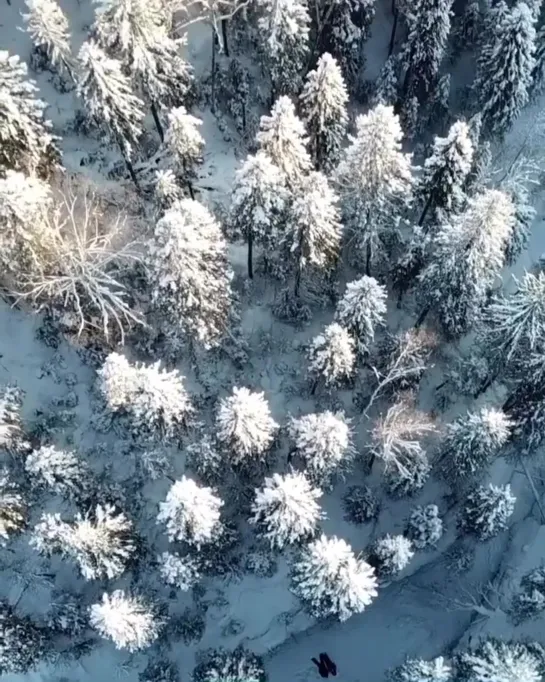 Усть-Койва с высоты. Пермский край