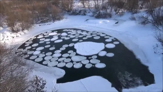 Ледяные "блинчики" на речке Гайва.