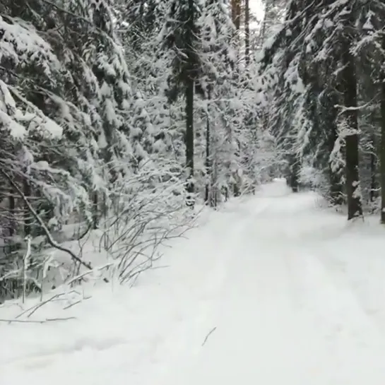 Хруст снега. Балатовский парк Перми