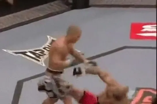 UFC 2008 James Irvin quickly knocks out Houston Alexander.Джеймс Ирвин нокаутирует чёрного лузера Хьюстона Александра.11DeadFace