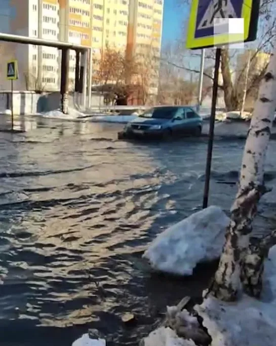 Царь-лужа на Жуковского