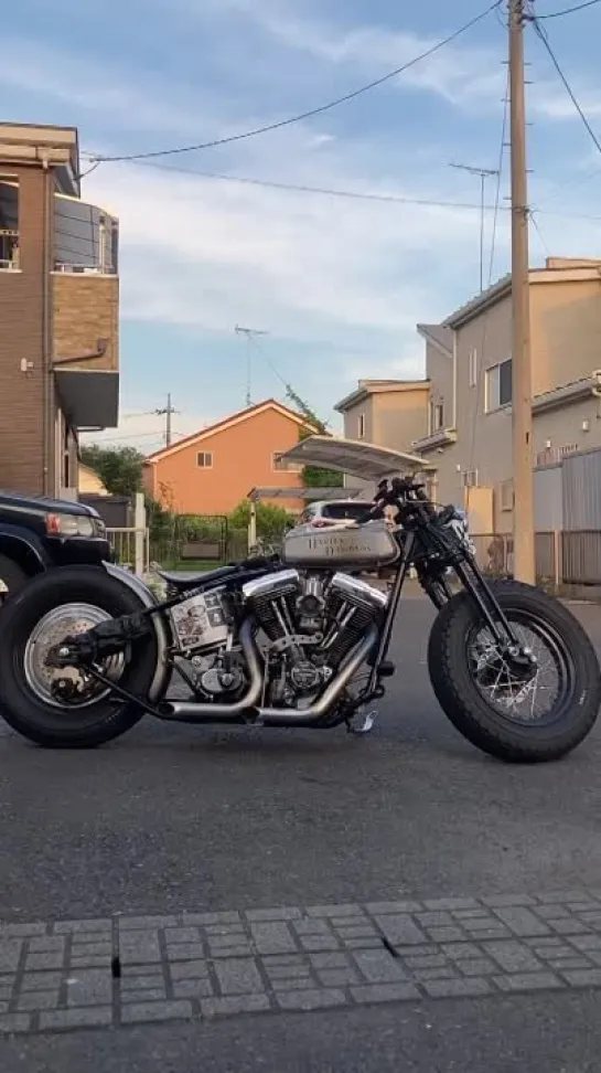 #harleydavidson 
#evo #evorigid #harley 
#evolution #shovelhead 
#shovel #bobber #bobbercustom #chopper 
#japanesebobber 
#oldsc