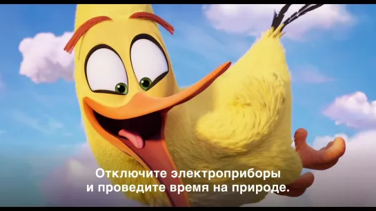 Angry Birds 2 в кино - уже в кино!