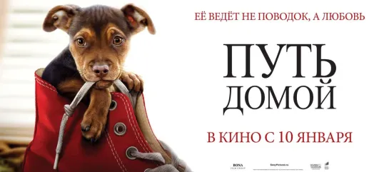 Путь домой / Dog's way home - официальный трейлер