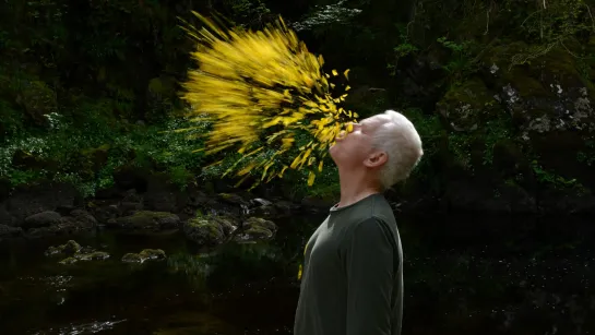 Thomas Riedelsheimer | Leaning Into the Wind - Andy Goldsworthy