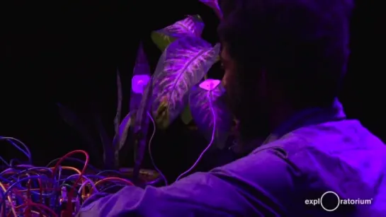 Robert Aiki Aubrey Lowe | Resonance - Performance - Exploratorium