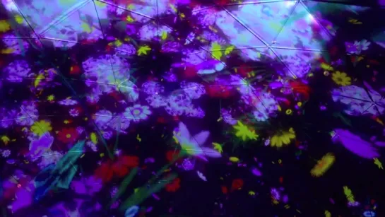 teamLab | Floating in the Falling Universe of Flowers