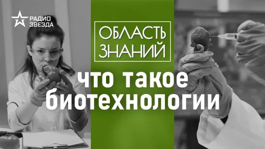 Что такое биотехнологии // Насколько опасны ГМО-продукты?