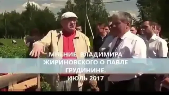 Всё что вам нужно знать про Жириновского