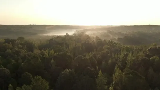 Доброе утро от ЖИТЬ ❤️